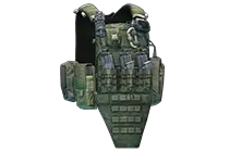 Crye Precision AVS 插板胸挂（丛林绿）