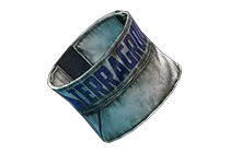 TerraGroup 臂带
