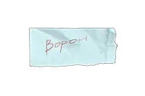 写有暗号Voron的纸条