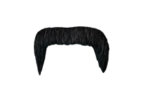 摔跤传奇假胡子