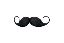 骠骑兵式小胡子