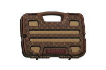Gamma 安全箱（路易伪登）