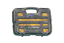 Gamma 安全箱