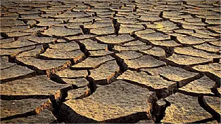 生存者之路 - Zhivchik