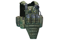 Crye Precision AVS 插板胸挂（丛林绿）