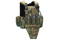 Crye Precision AVS 插板胸挂（复合迷彩）